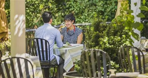 Пара пьет вино за столом