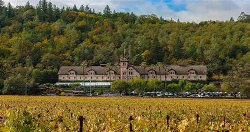 Широкое здание в горах. Виноградник находится на переднем плане