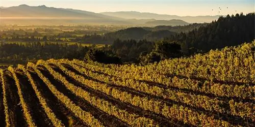 Маршрут путешествия новичка в долину Напа