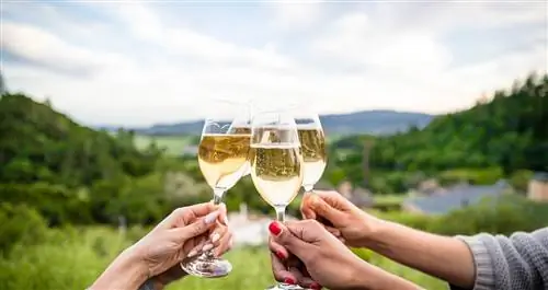 В четыре руки поджаривают бокалы белого вина.