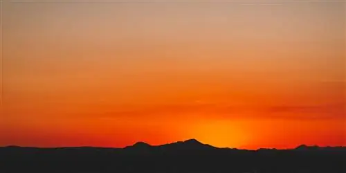 Секрет создания волшебных пейзажей пустыни в Скоттсдейле