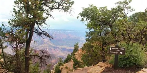 Путеводитель по Гранд-Каньону для новичков