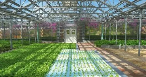 Этот отель Garden может просто оживить гастрономическую сцену Ангильи после урагана Ирма