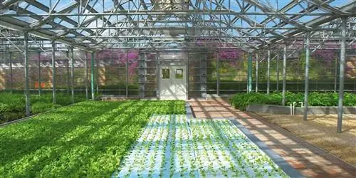 Этот отель Garden может оживить гастрономическую сцену Ангильи после урагана Ирма