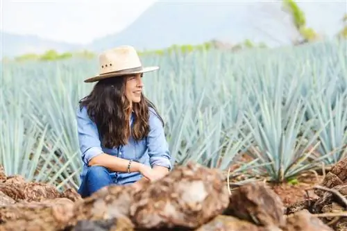 Женщина в шляпе сидит на корточках в поле агавы.