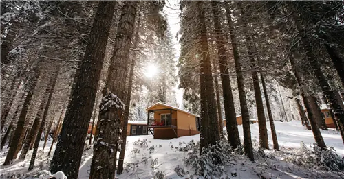 Каюты Explorer в Tenaya Lodge в Йосемити