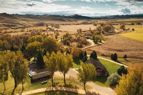 Фонд и галерея Ucross