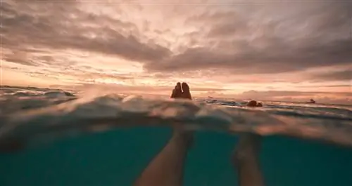 image_3_sunrise