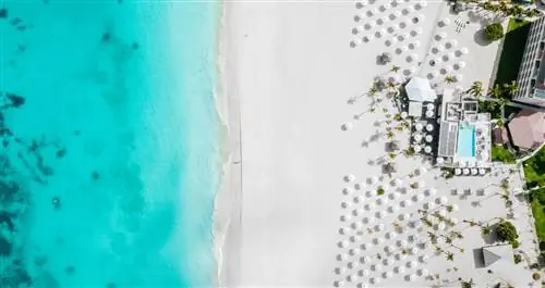 image_3_aruba