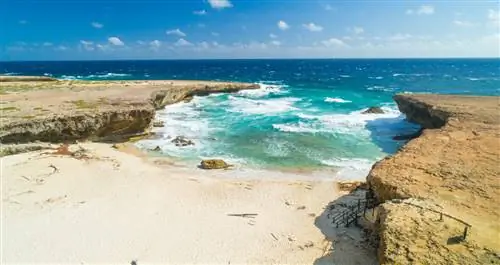 image_5_friends_aruba