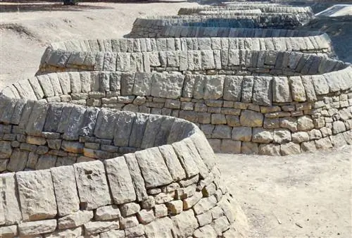 Эту скульптуру длиной 320 футов можно найти в кампусе Стэндфордского университета.