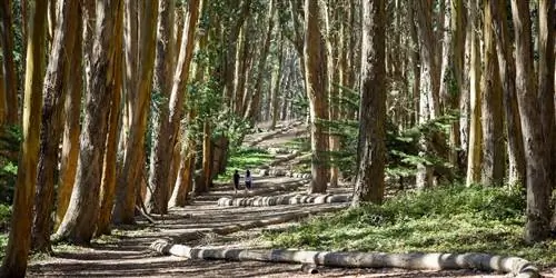 Скальные стены как искусство? Почему вам нужно увидеть эти произведения Энди Голдсворта в США