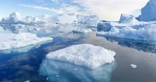 Как увидеть самые великолепные ледники в мире, пока не стало слишком поздно