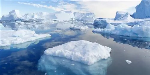 Как увидеть самые великолепные ледники в мире, пока не стало слишком поздно