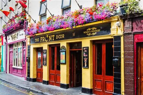 Традиционные пабы Голуэя, такие как The Front Door, готовят блюда даже из местных продуктов.