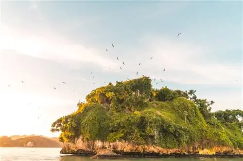 open-uri20181116-1561-1bxidyv