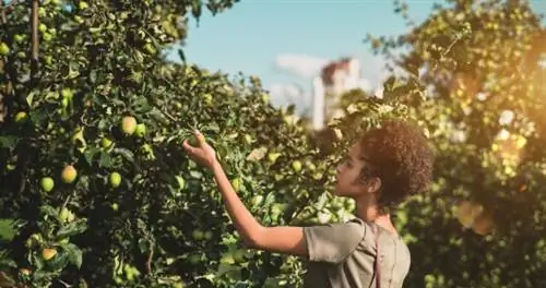Городской фураж: отличный (и абсолютно законный) способ почувствовать вкус города