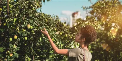 Собирательство в городе: отличный (и абсолютно законный) способ почувствовать вкус города