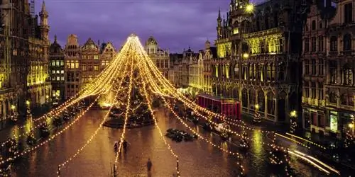 Остановка в пути рейсом Brussels Airlines - ваш билет в зимнюю страну чудес