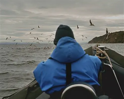Лодочная прогулка предлагает альтернативный взгляд на крутые скалы побережья.