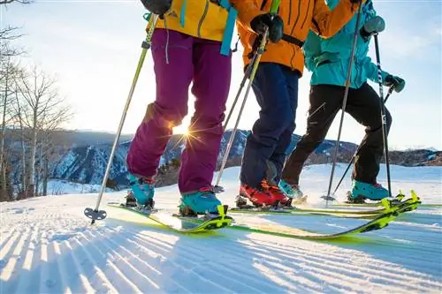 Специальные синтетические покрытия прикрепляются к нижней части лыж и обеспечивают необходимое сцепление при движении в гору.