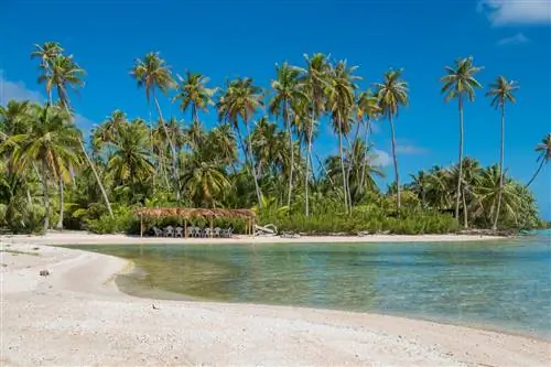 Гости отеля Cocoperle Lodge могут отправиться на рыбалку в лагуну.