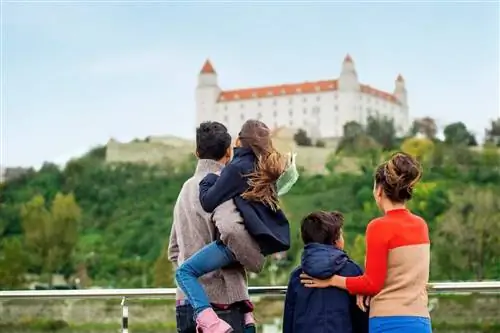 Речные круизные лайнеры проходят через самое сердце Европы, предлагая семьям легкий доступ к городам и поселкам по пути.