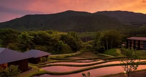 Из ресторана KAI Yufuin на японском острове Кюсю открывается вид на рисовые террасы, окружающие регион.