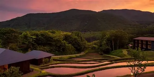 Куда поехать в Азию прямо сейчас