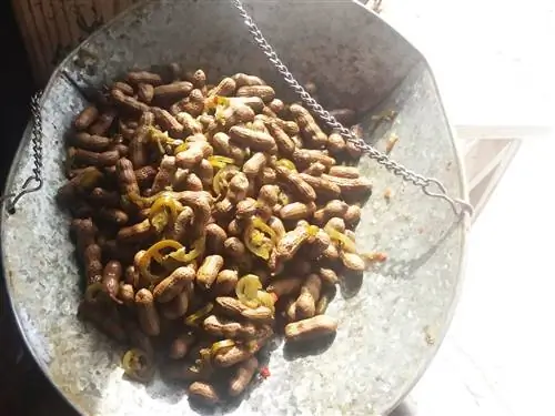 Вареный арахис и нарезанный халапеньо в металлической миске