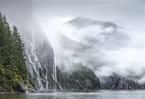 Новейшее судно Lindblad Expeditions отправляется на Аляску, где путешественники могут сосредоточиться на дикой природе и природе.