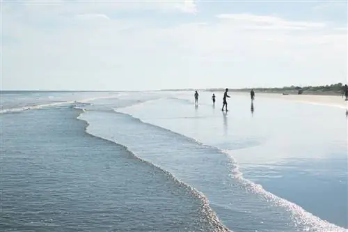 Люди ходят по волнам на Фолли-Бич