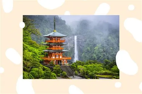 Велосипедный тур Intrepid по Японии включает в себя остановку у пагоды Сейгантодзи и водопада Нати.