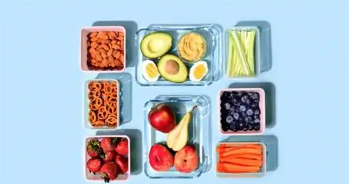 Закуски из фруктов, овощей и орехов, упакованные для путешествий