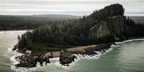 На Хайда-Гвайи, изучение процветающей культуры коренных народов