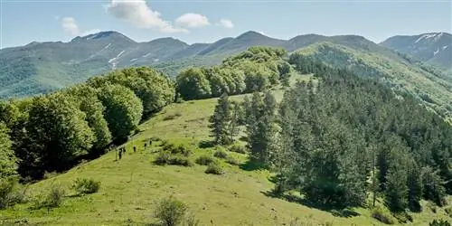 Напряженные походы, миски с лебедой и отсутствие вина: этот оздоровительный отдых в Италии проверит ваши пределы