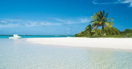 Живописный Маленький Кайман