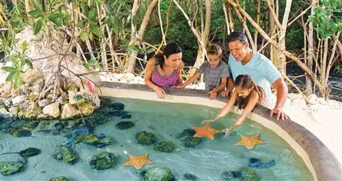 Встречи в аквариуме Флорида-Кис