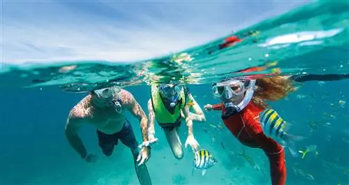 Дайвинг в Ки Ларго