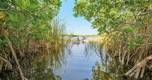 Национальный парк Эверглейдс в Ки-Ларго, Флорида
