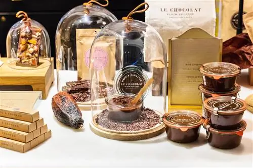 Шоколад в магазине Le Chocolate Алена Дюкасса в Париже.