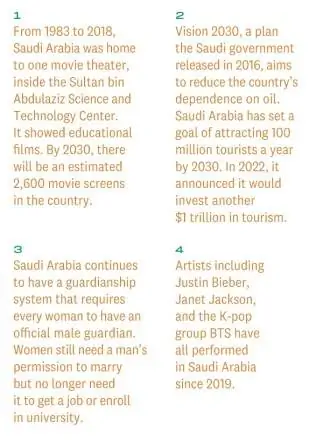 AFR010123_Saudi_Annotation01