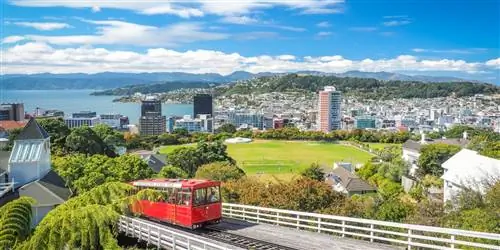 Рейсы Air New Zealand от $975 туда и обратно с этой новогодней распродажей