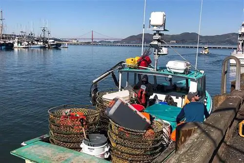 Связывая мелких рыбаков с ресторанами, такие организации, как Water2Table, помогают создать спрос на устойчивые морепродукты.