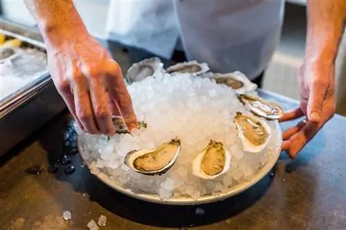 Многие люди не мечтают есть такие устрицы, как эти красавицы из Automatic Seafood, вне сезона, но не понимают, что у рыбы тоже есть времена года.