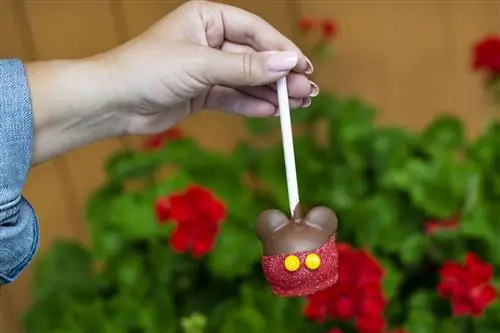 открытый-uri20190502-8078-jg0ymr