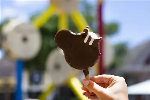 открытый-uri20190502-8078-1sbpv6c