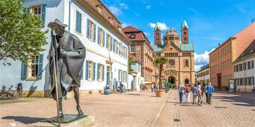 Пешие и велосипедные прогулки вдоль живописного Рейна в путешествии по этой реке