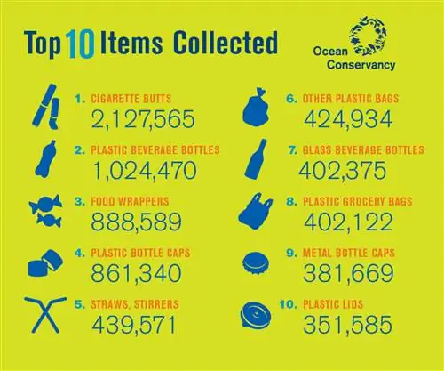 Каждый год Ocean Conservancy публикует результаты своей ежегодной международной очистки; в 2017 году эти куски хлама были самыми распространенными.