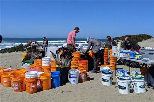 Одним из преимуществ участия в организованной уборке является доступ к снаряжению, такому как ведра, мусоросборники и перчатки. Но достаточно легко провести тщательный сбор, используя только мешок для мусора.